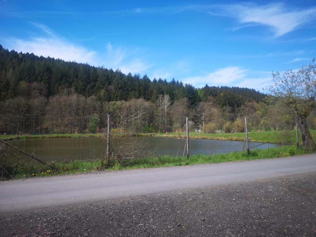 Ferienhaus Salmtal Himmerod Großlittgen Esterno foto