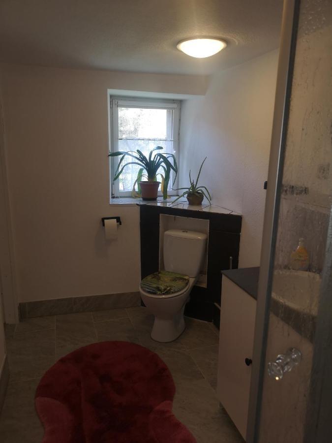 Ferienhaus Salmtal Himmerod Großlittgen Esterno foto