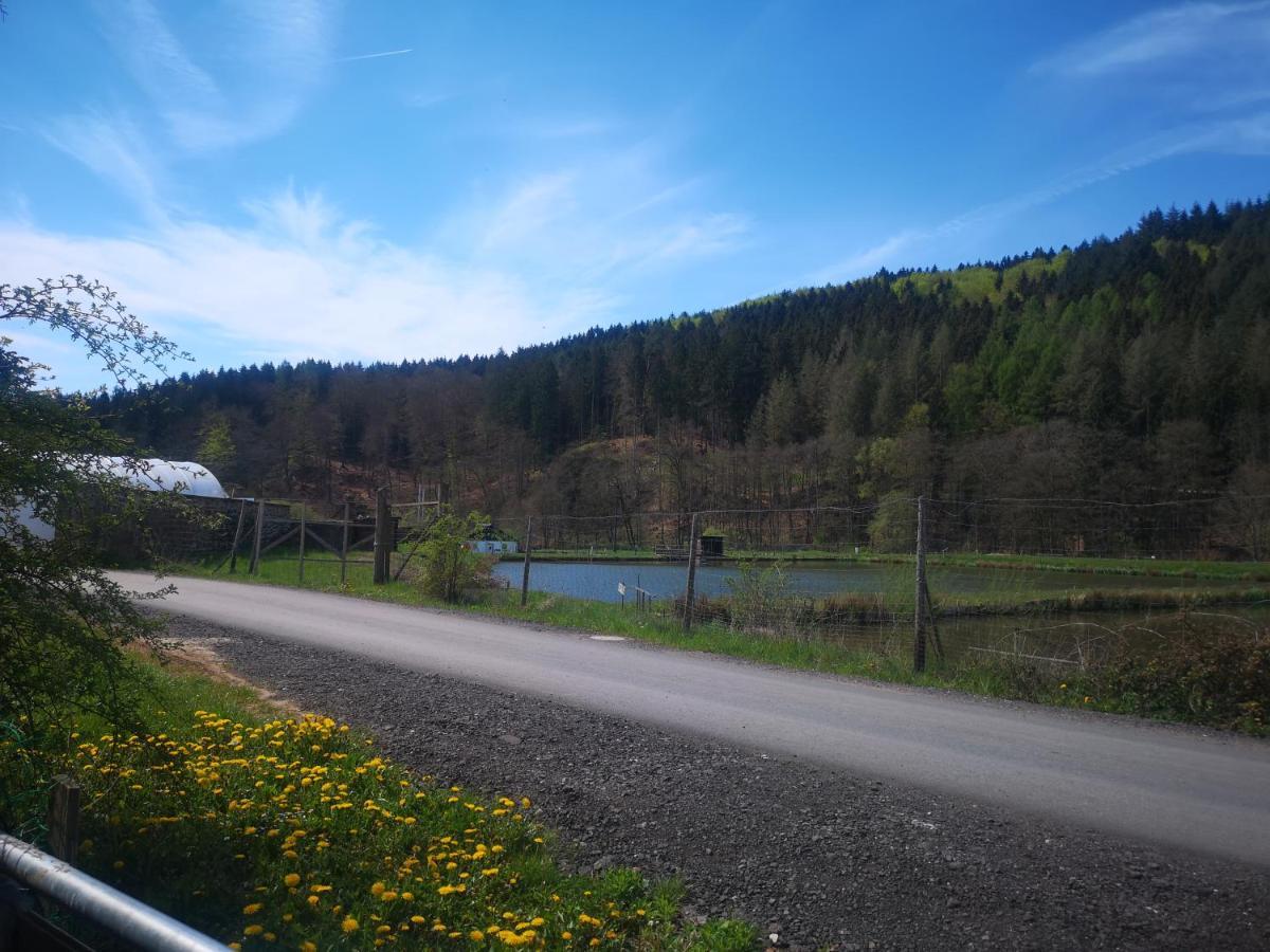 Ferienhaus Salmtal Himmerod Großlittgen Esterno foto
