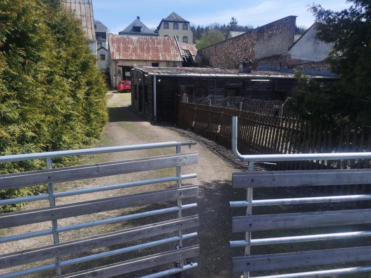 Ferienhaus Salmtal Himmerod Großlittgen Esterno foto