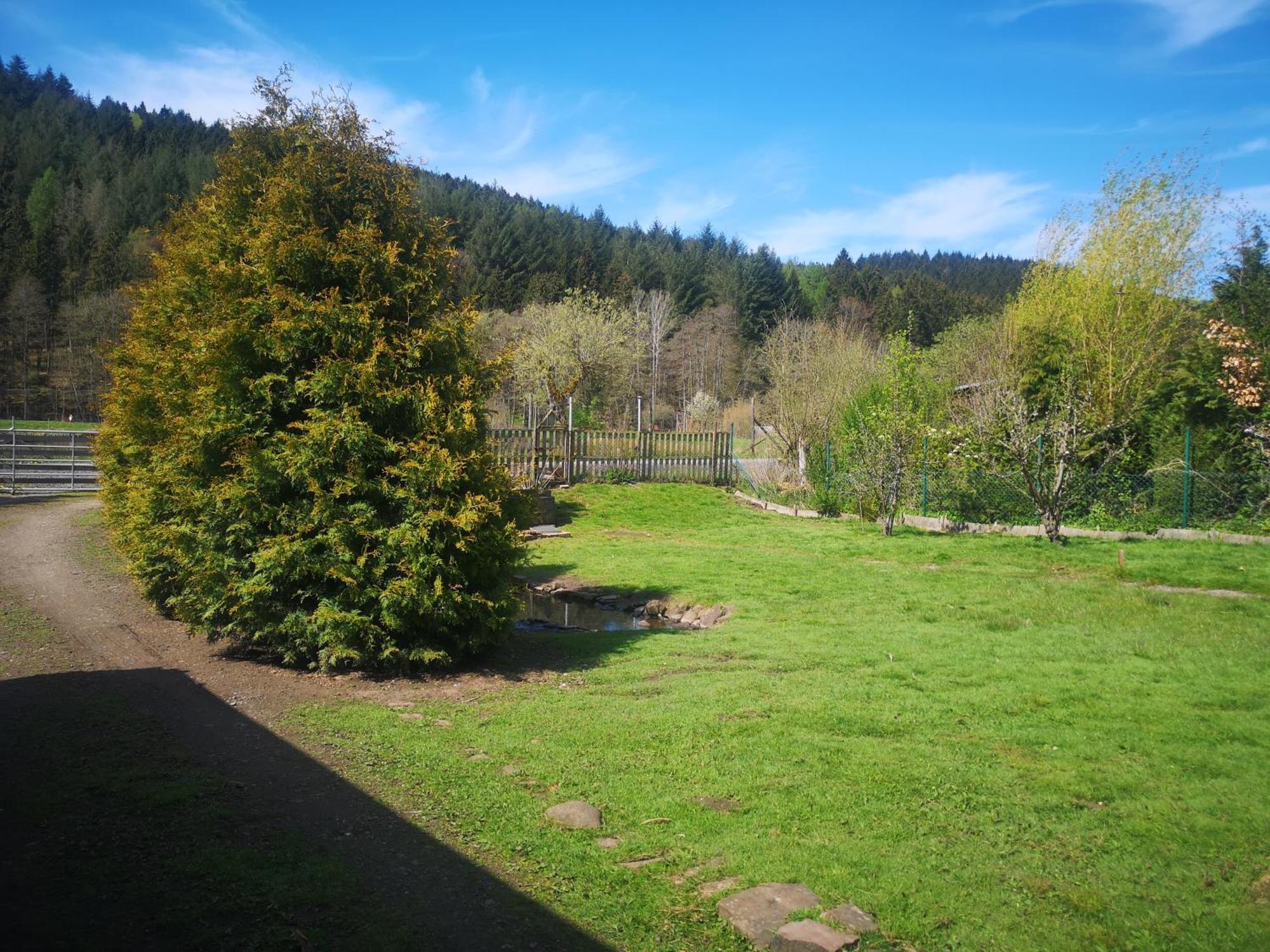 Ferienhaus Salmtal Himmerod Großlittgen Esterno foto