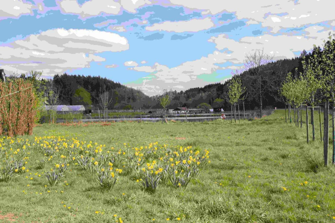 Ferienhaus Salmtal Himmerod Großlittgen Esterno foto