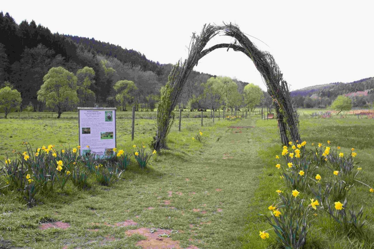 Ferienhaus Salmtal Himmerod Großlittgen Esterno foto