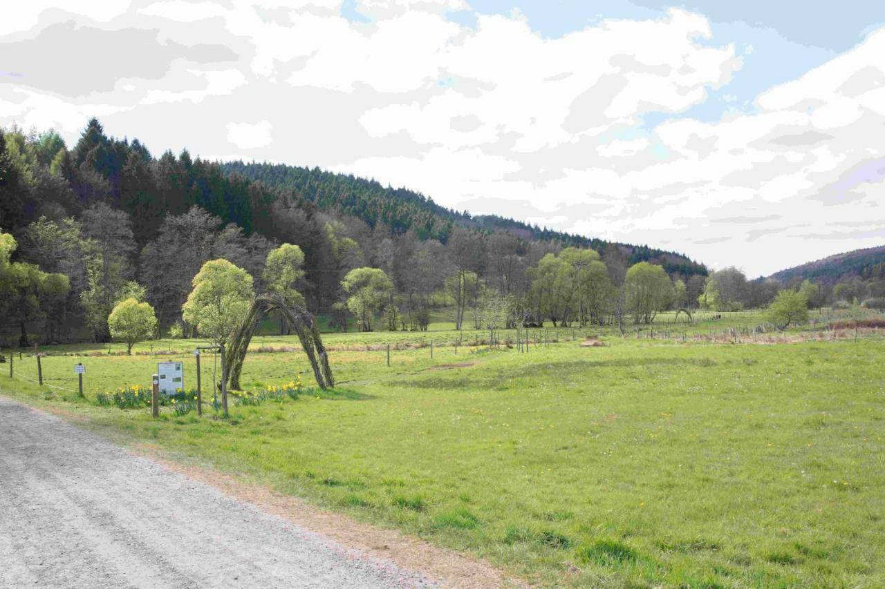 Ferienhaus Salmtal Himmerod Großlittgen Esterno foto